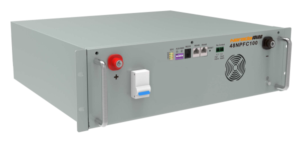 Літій-іонна акумуляторна батарея NARADA 48NPFC100