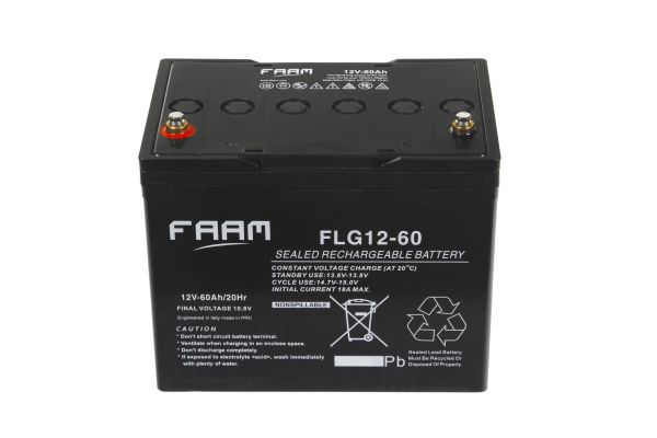 FLG12-60